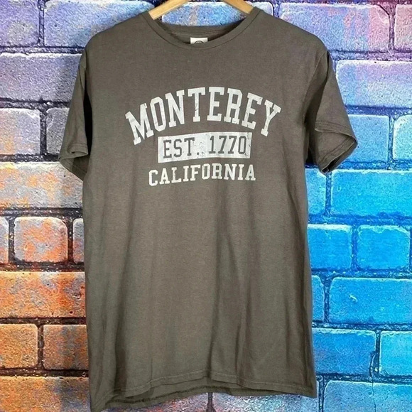 Monterey California Delta Pro Weight T-Shirt Gray Medium - Picture 1 of 4